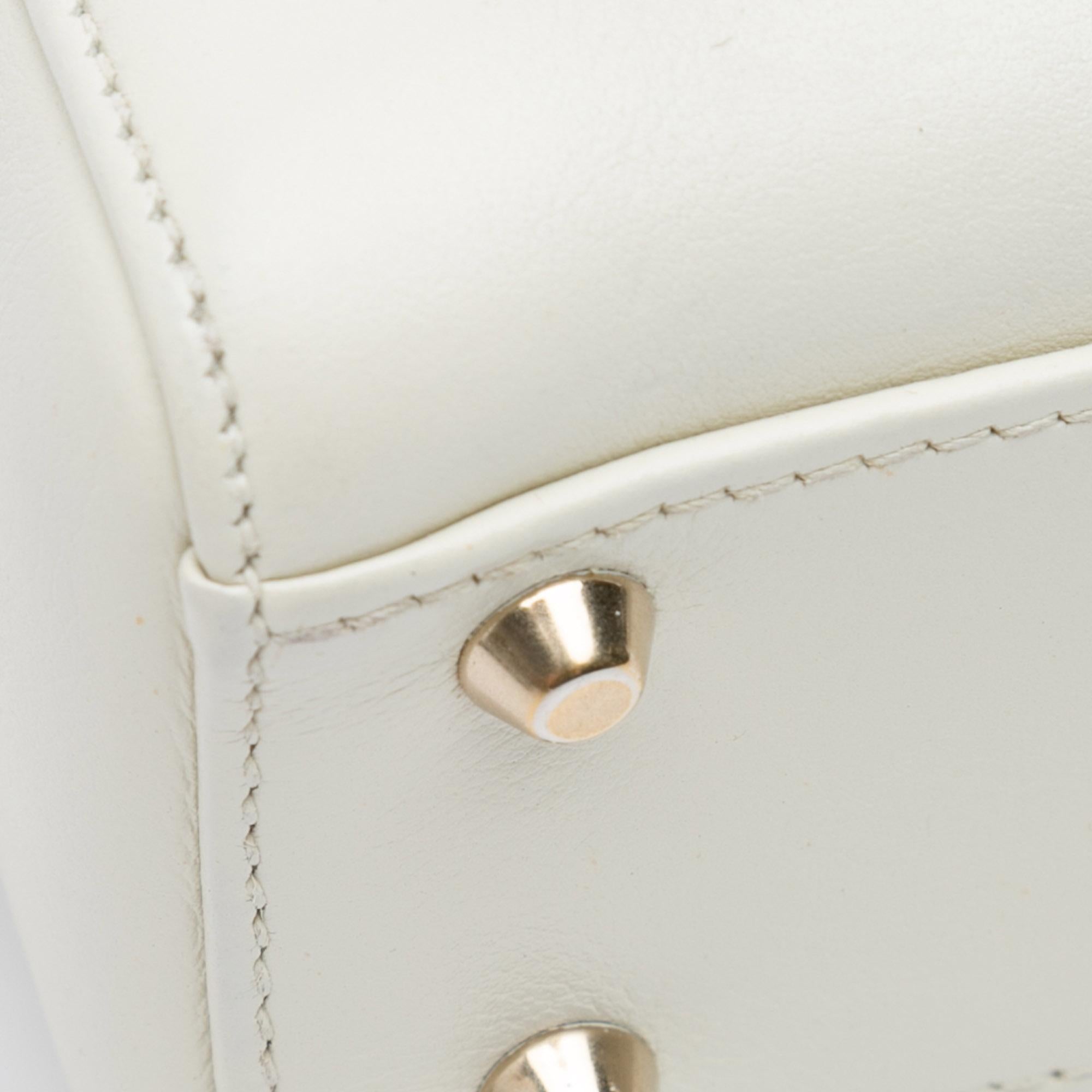 Dior Niki De Saint Phalle Mini Calfskin Dioramour Lady Dior (SHG-bPGexj)