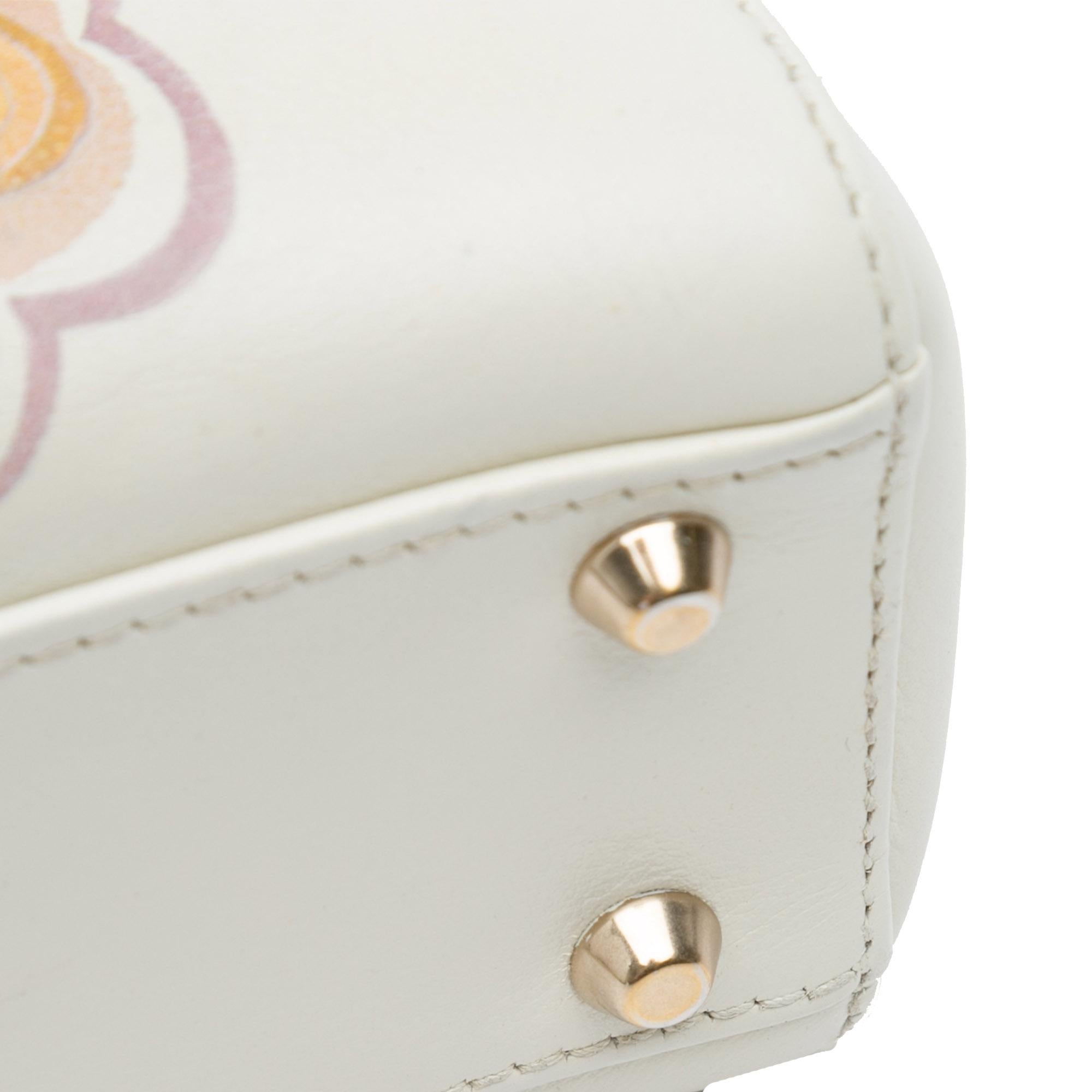Dior Niki De Saint Phalle Mini Calfskin Dioramour Lady Dior (SHG-bPGexj)