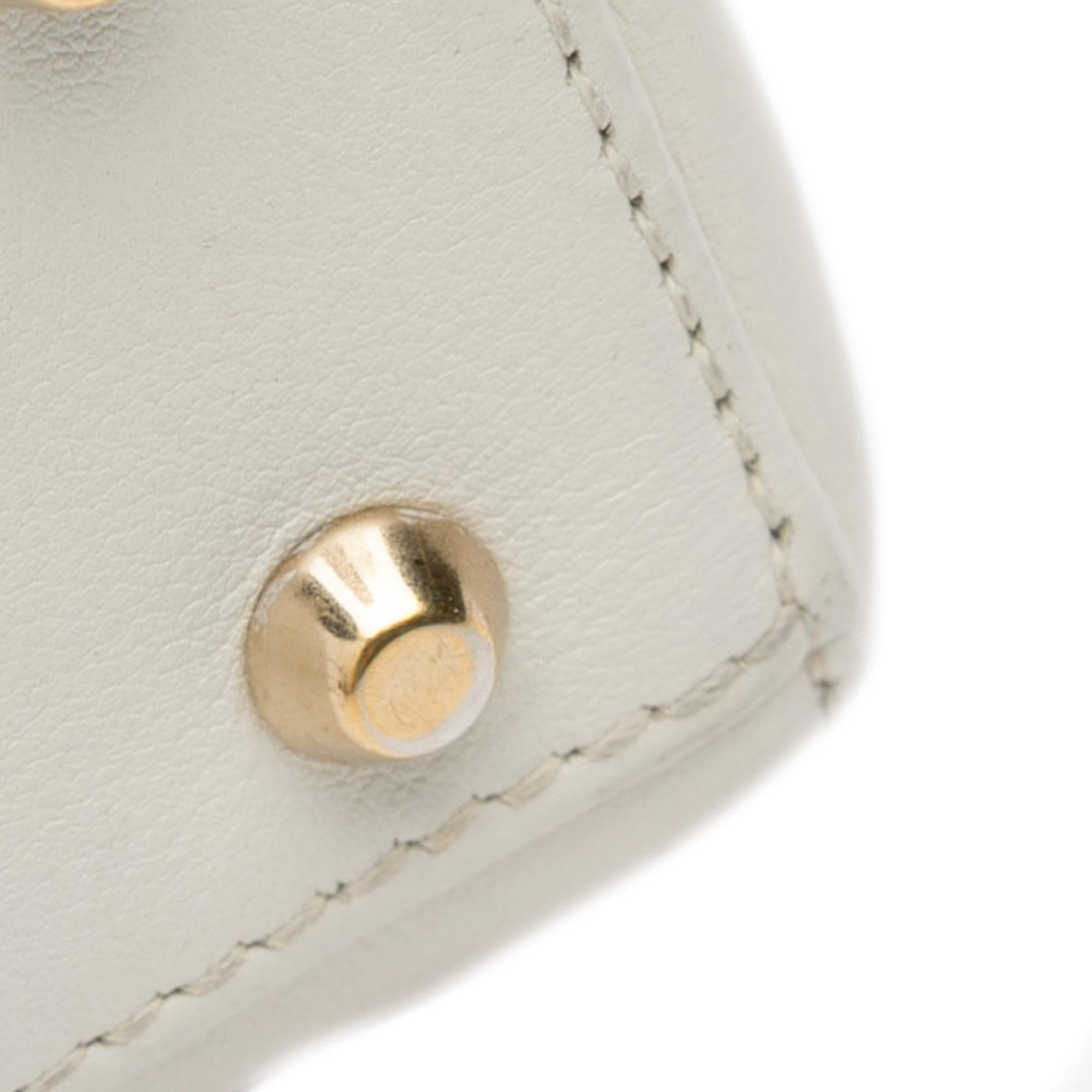 Dior Niki De Saint Phalle Mini Calfskin Dioramour Lady Dior (SHG-k51d2U)