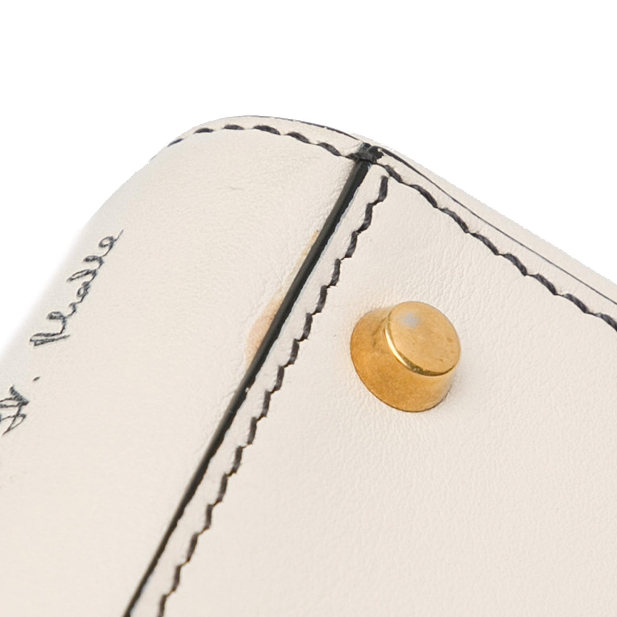 Dior Niki de Saint Phalle Mini Calfskin Lady Dior (SHG-zMKBME)