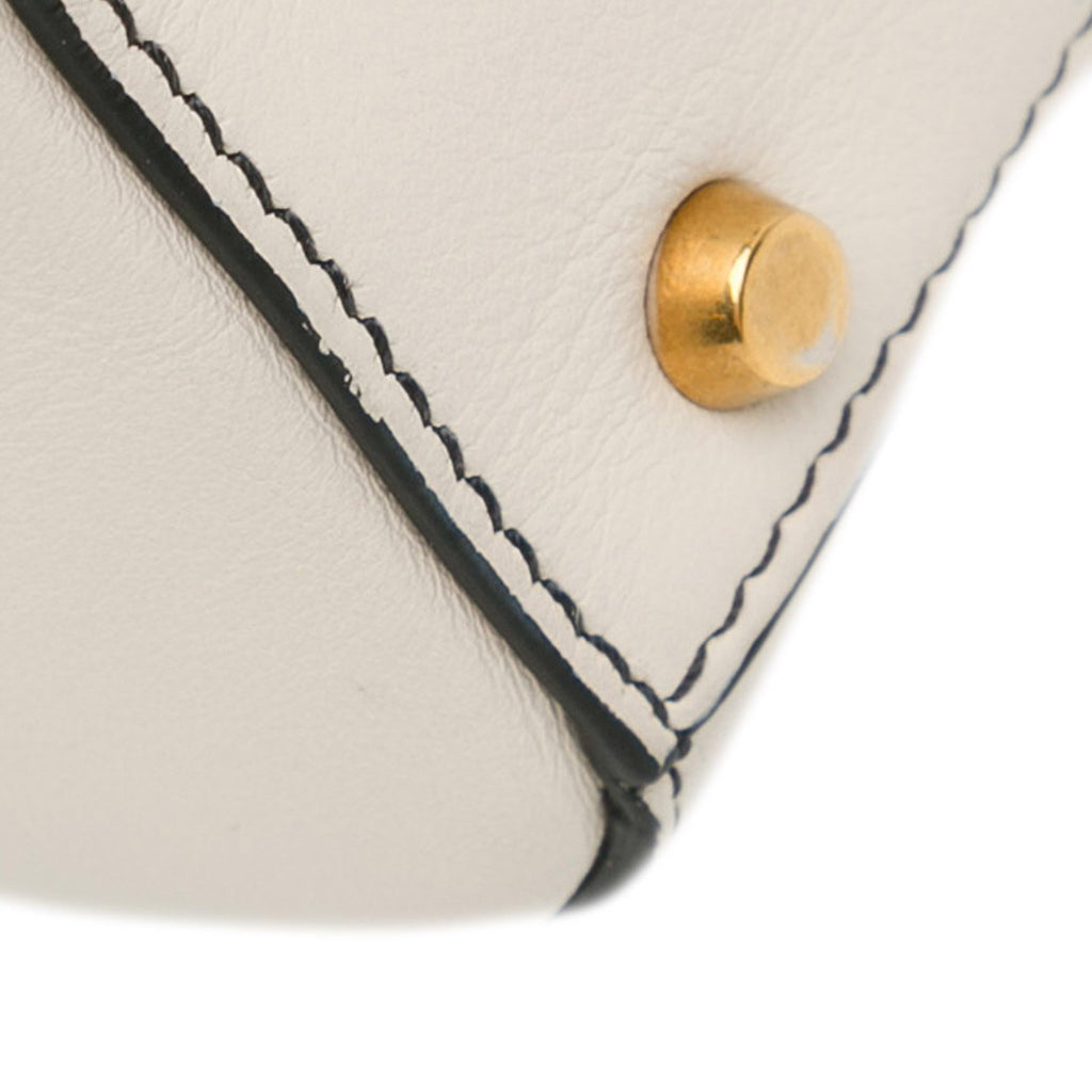 Dior Niki de Saint Phalle Mini Calfskin Lady Dior (SHG-zMKBME)