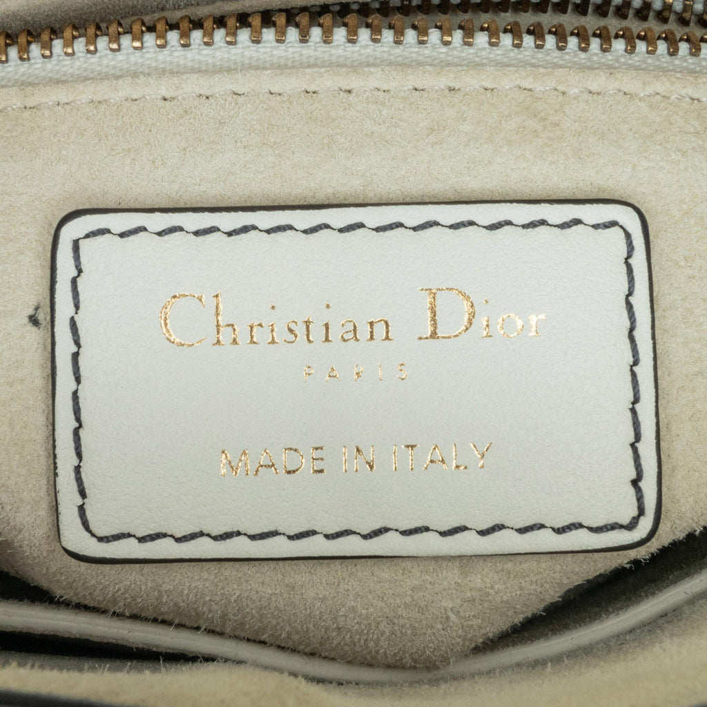 Dior Niki de Saint Phalle Mini Calfskin Lady Dior (SHG-zMKBME)