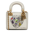 Dior Niki de Saint Phalle Mini Calfskin Lady Dior