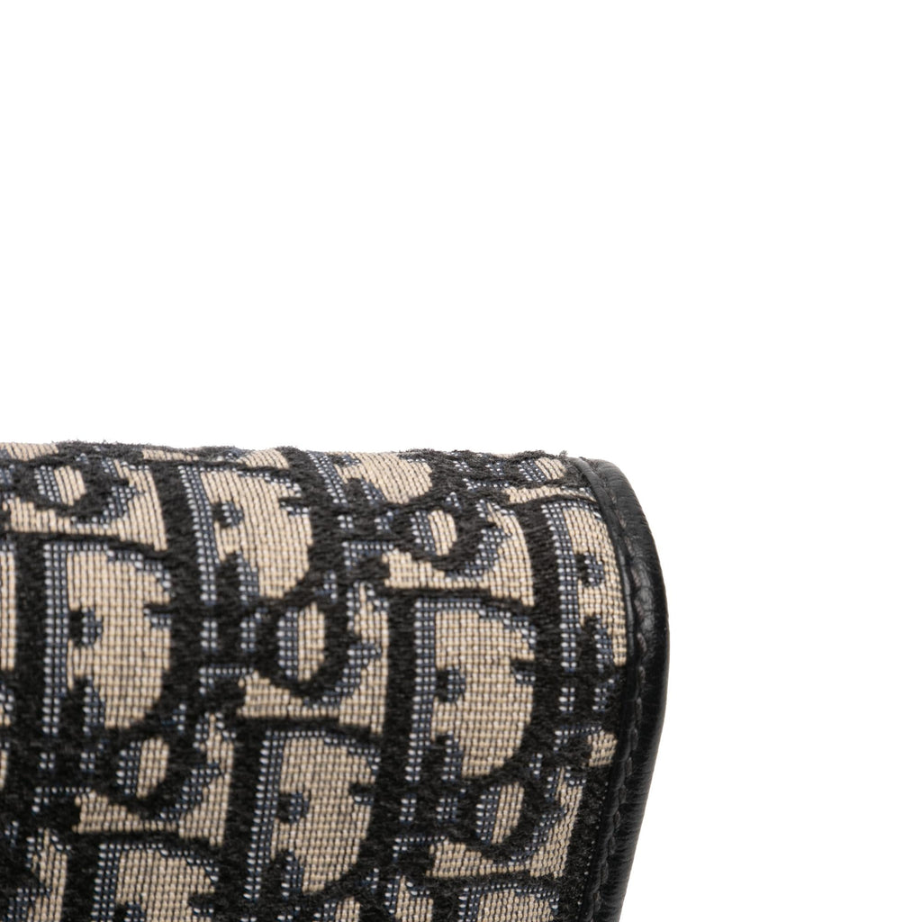 Dior Oblique Canvas 30 Montaigne 2 in 1 Pouch