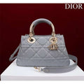 Dior Shoulder Bag BGMP1023