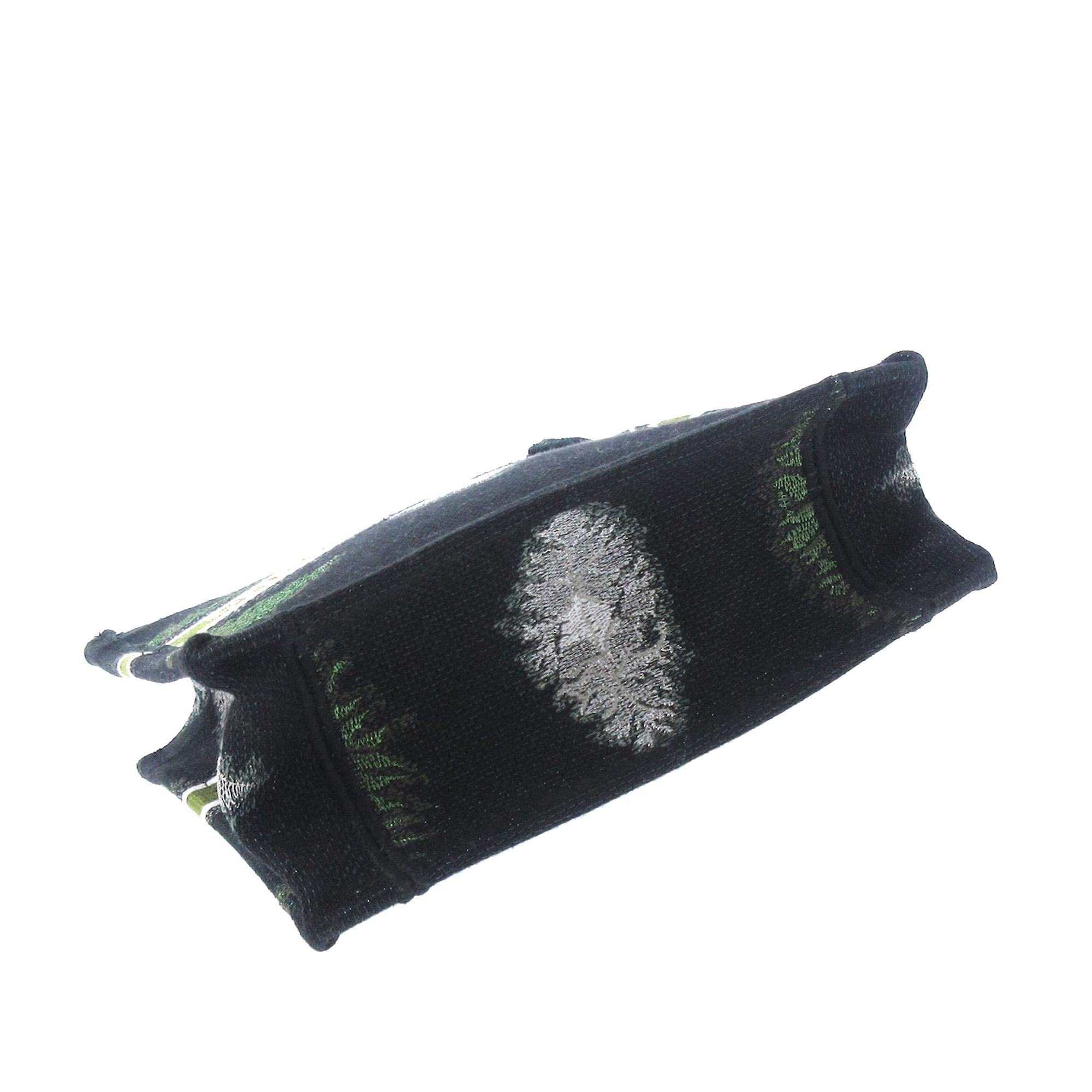 Dior Tie Dye Vertical Book Tote