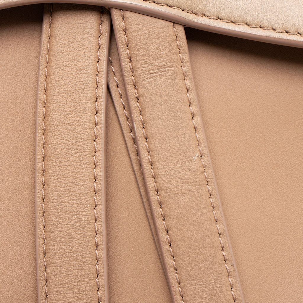 Dior Ultramatte Calfskin Saddle Bag (SHF-LXNddA)