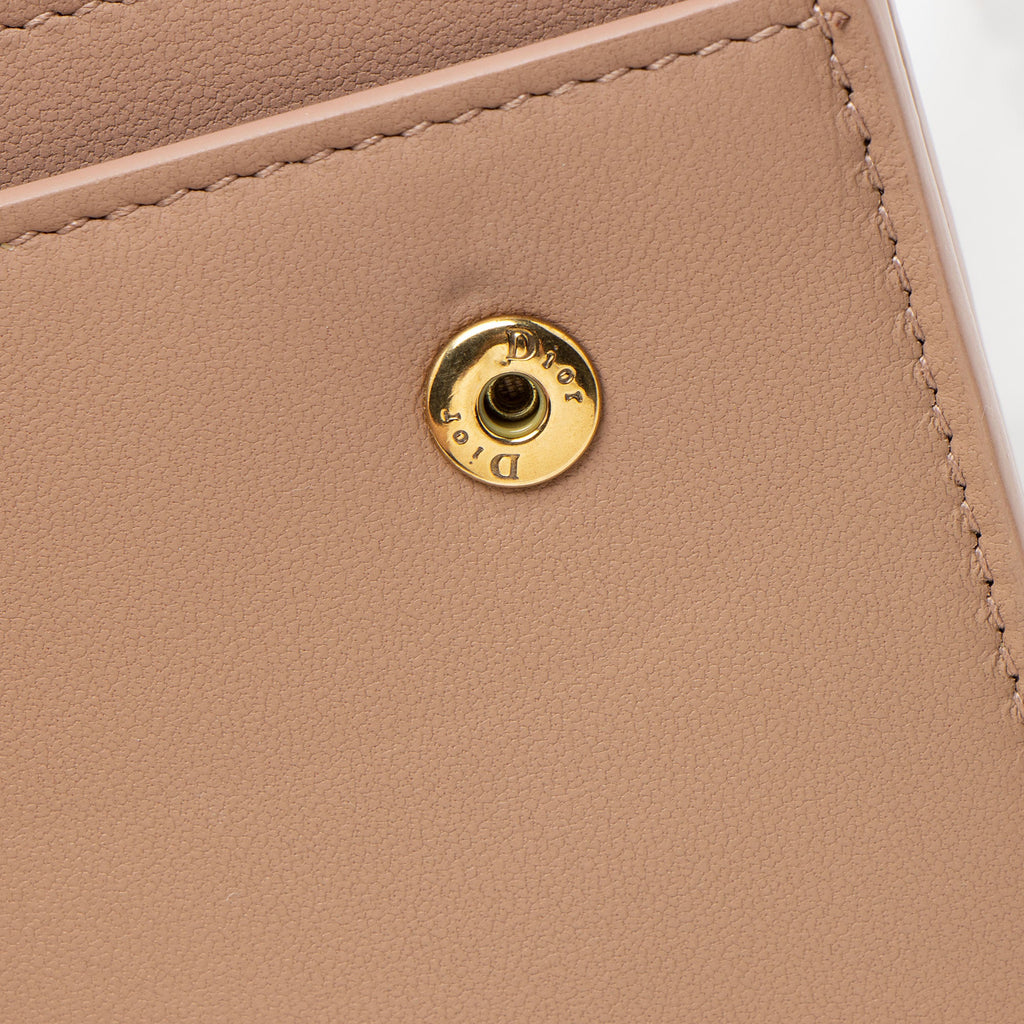 Dior Ultramatte Calfskin Saddle Chain Pouch