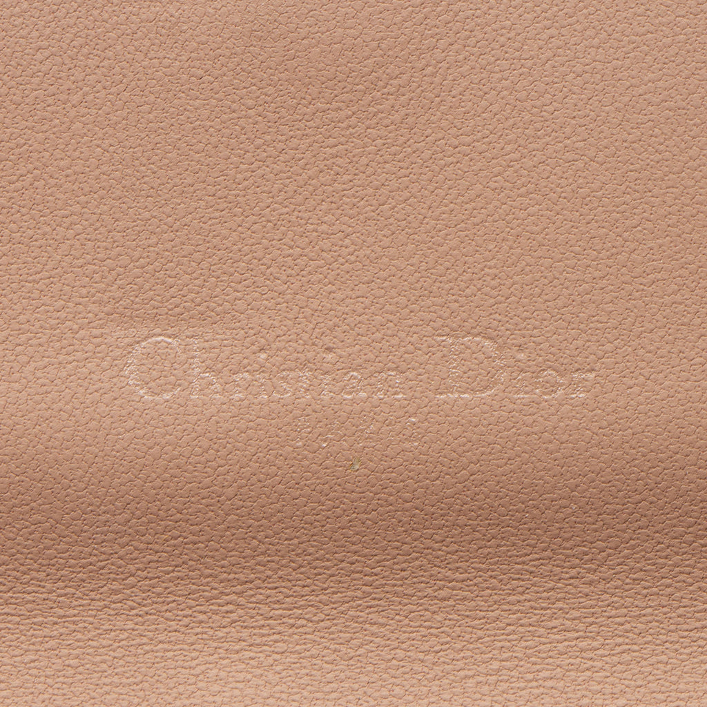 Dior Ultramatte Calfskin Saddle Chain Pouch