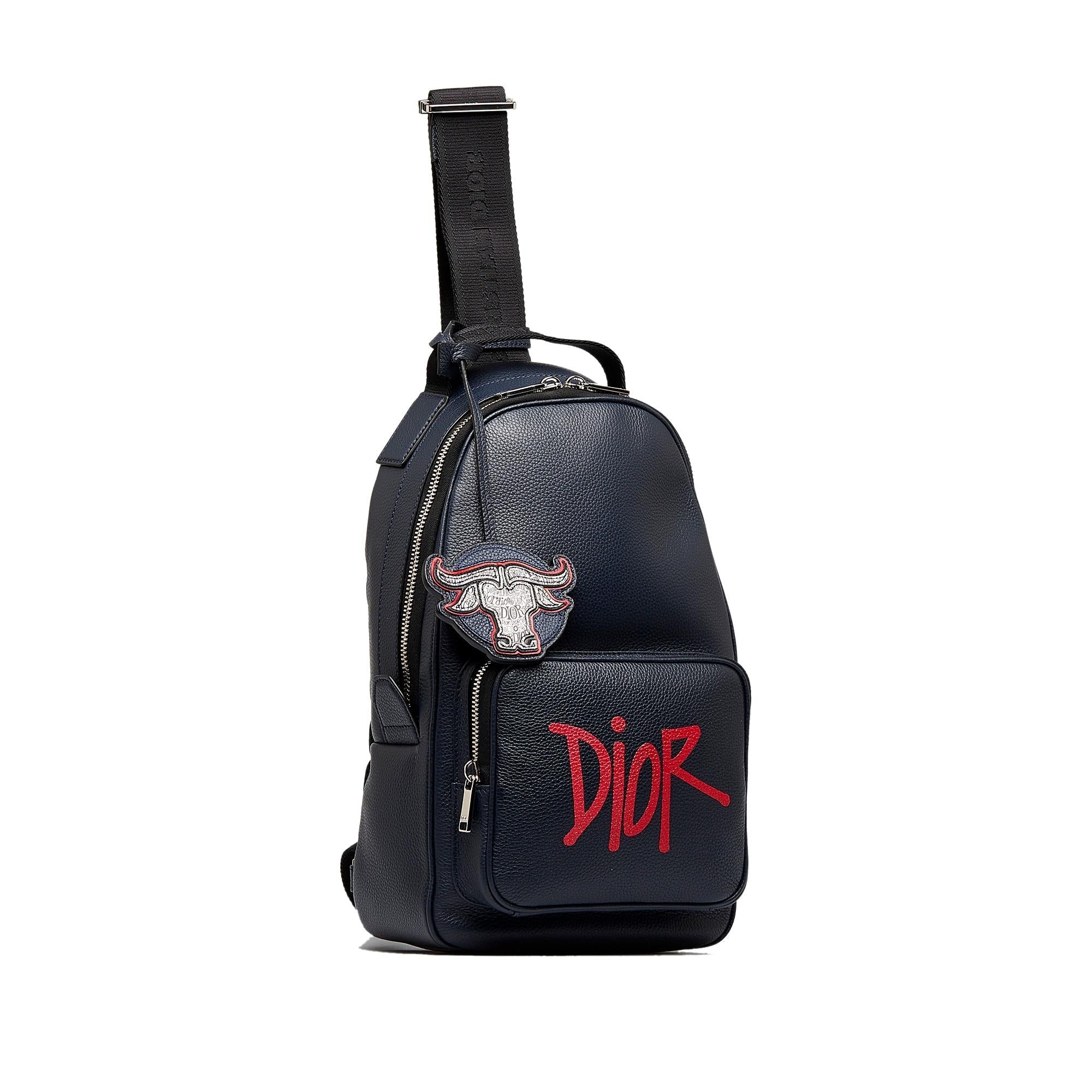 Dior x Shawn Stussy Year of the Ox Sling