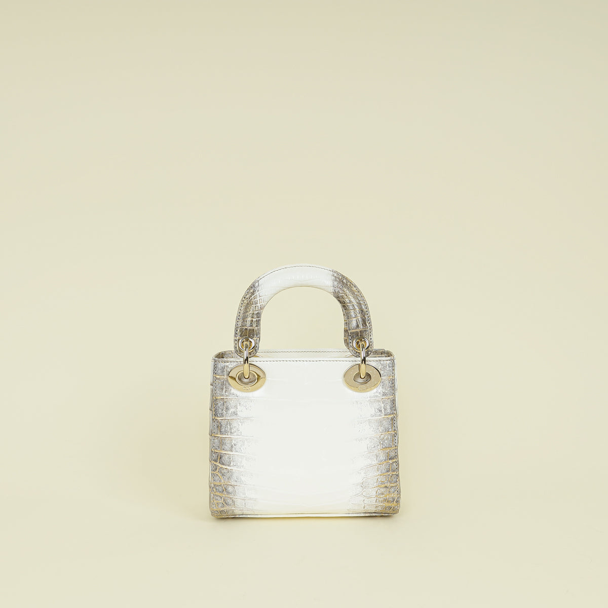 Christian Dior Bicolor Lady Dior Himalaya Crocodile Mini Chain Bag