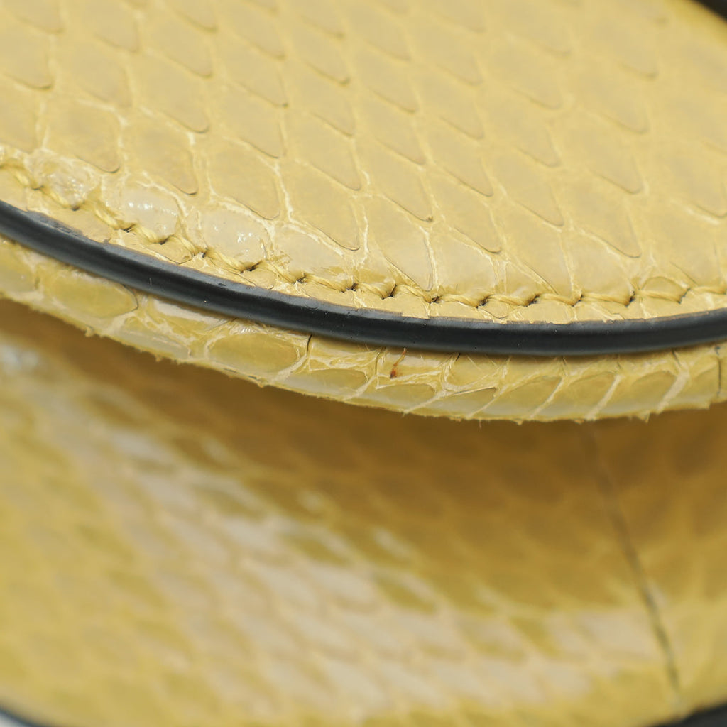 Christian Dior Dark Mustard Python Saddle Mini Bag