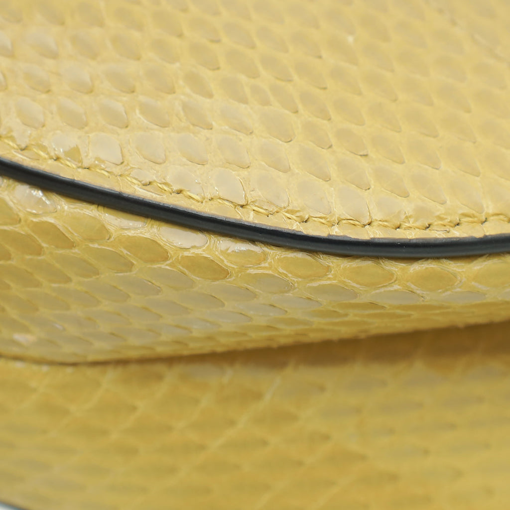 Christian Dior Dark Mustard Python Saddle Mini Bag