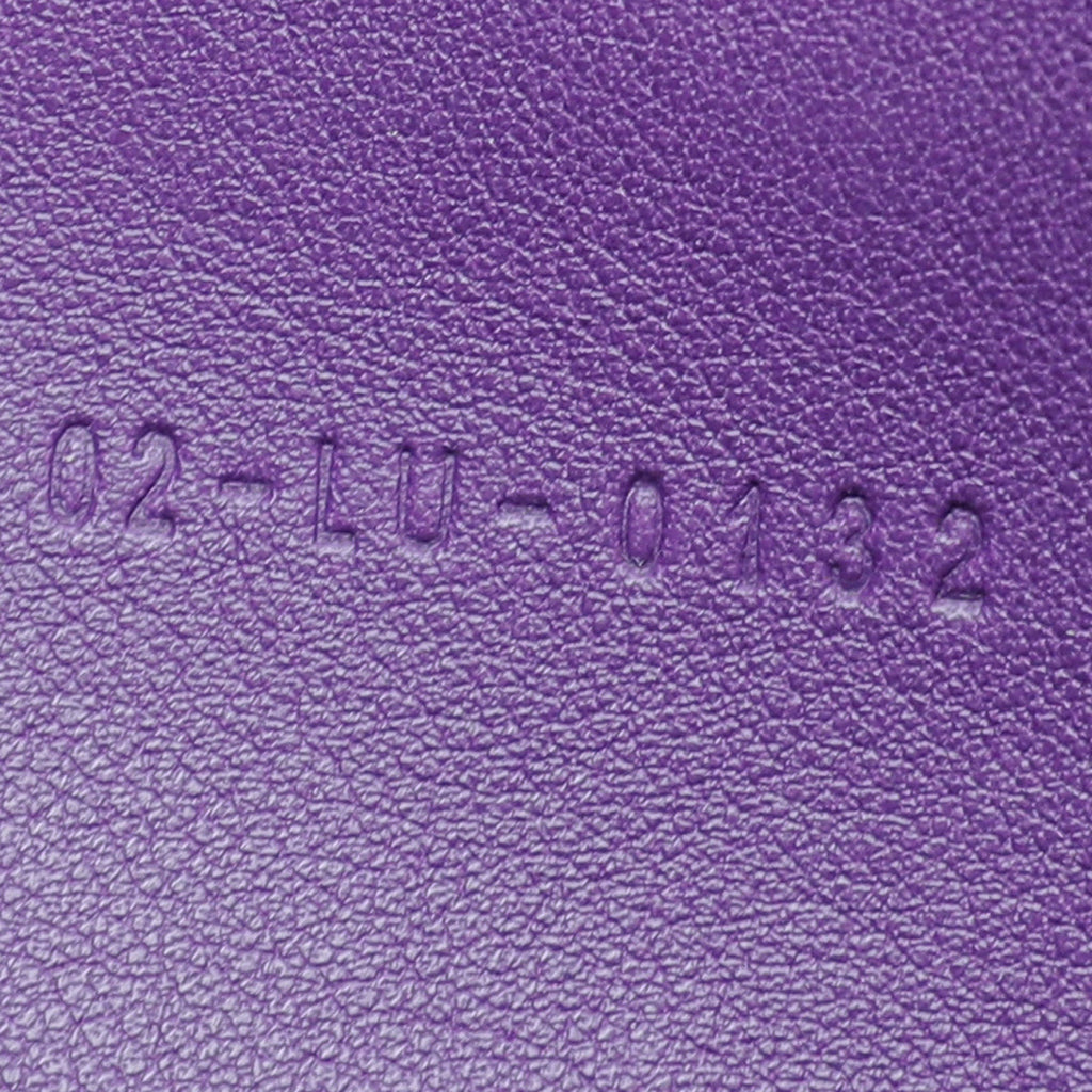 Christian Dior Violet New Lock Promenade Wallet On Chain