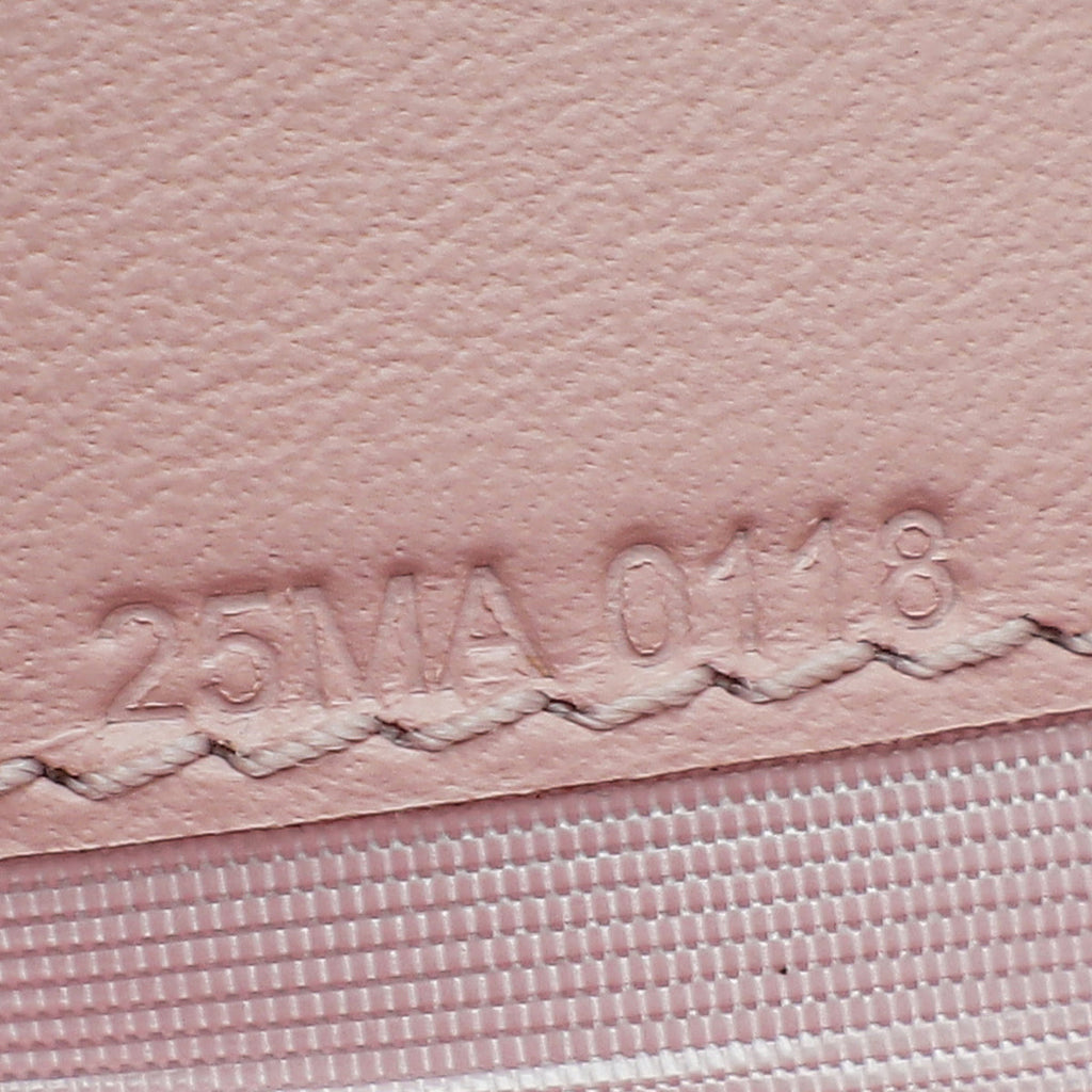 Christian Dior Nude Pink Lady Dior Rendezvous Wallet On Chain