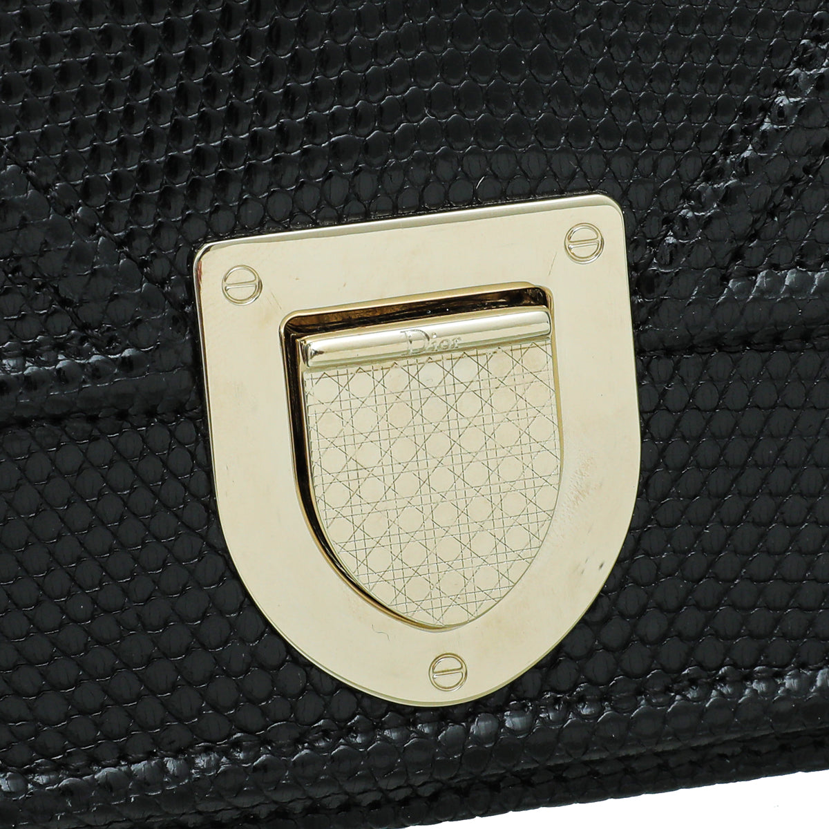 Christian Dior Black Lizard Diorama Medium Bag