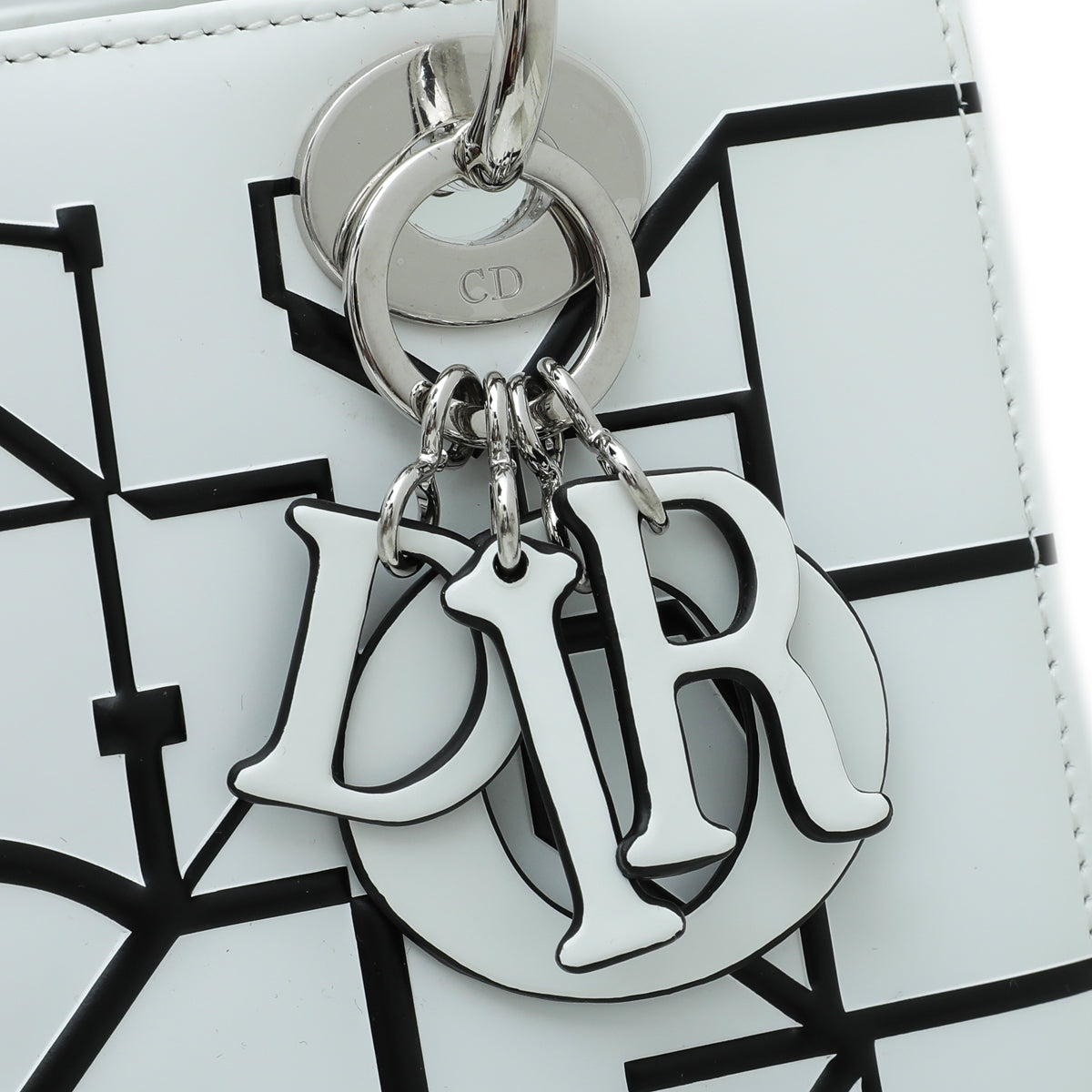 Christian Dior Bicolor Lady Dior Eduardo Terrazas Medium Bag