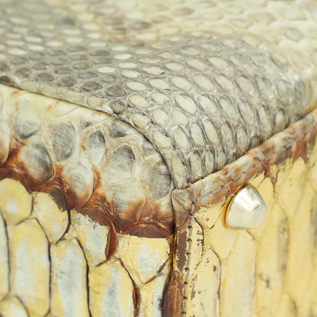 Christian Dior Bicolor Python Mini Lady Dior Bag