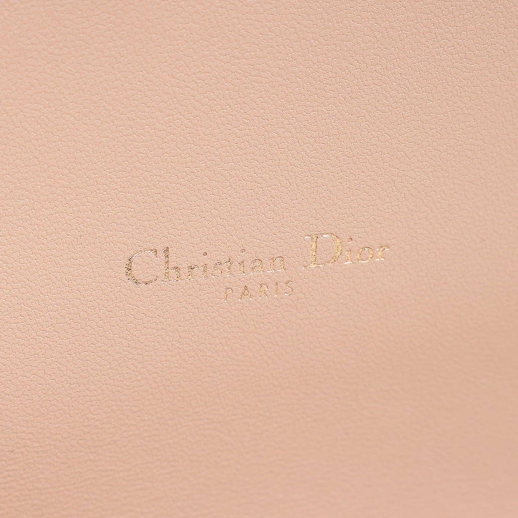 Christian Dior Iridescent Metallic Pink Caro Pouch with Chain
