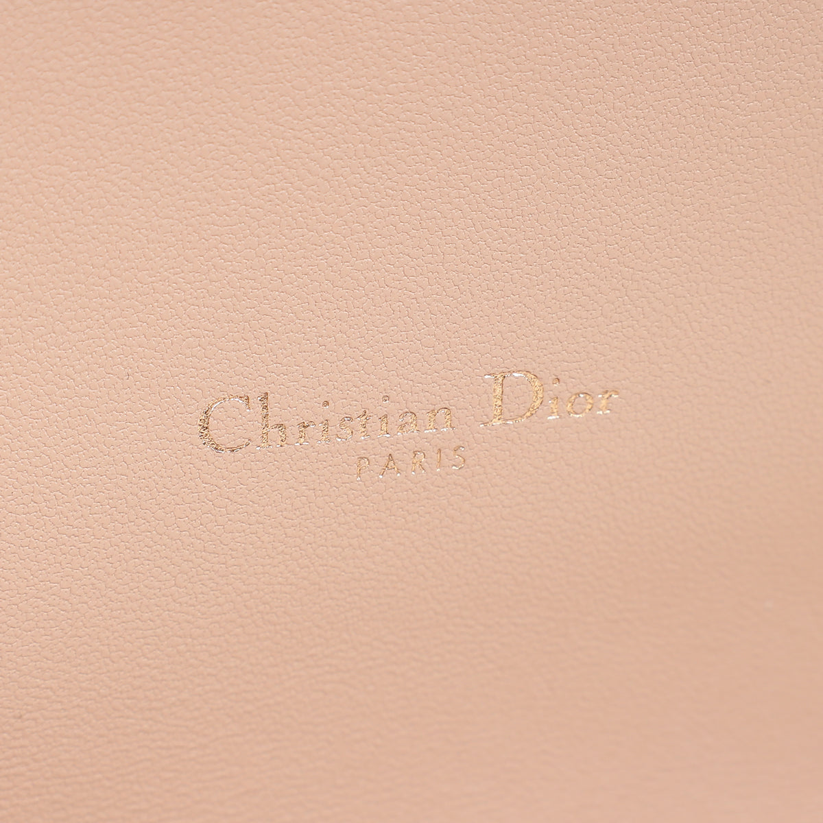 Christian Dior Iridescent Metallic Pink Caro Pouch with Chain