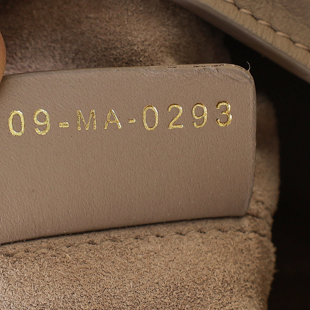 Christian Dior Warm Taupe Medium Dior Toujours Bag