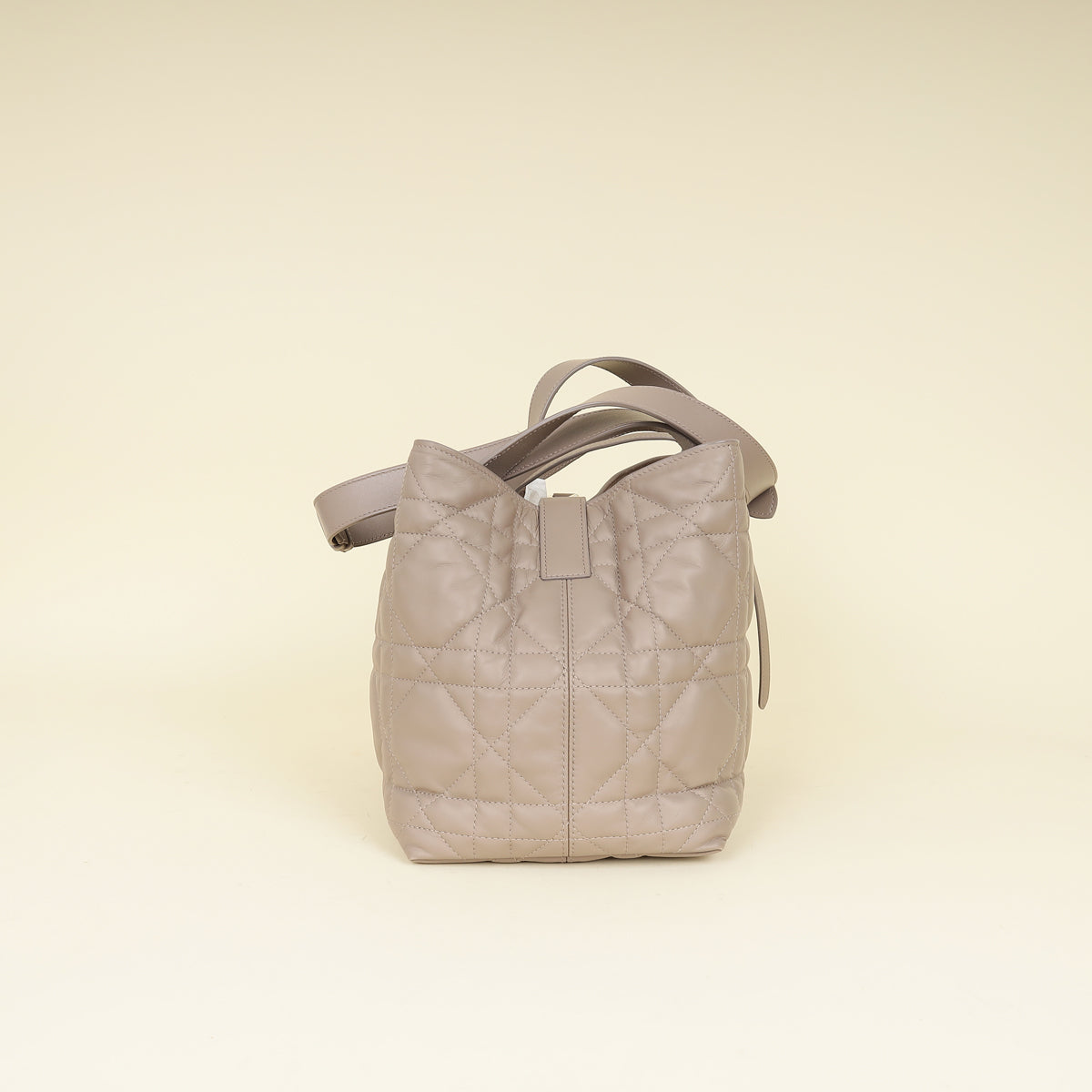 Christian Dior Warm Taupe Medium Dior Toujours Bag
