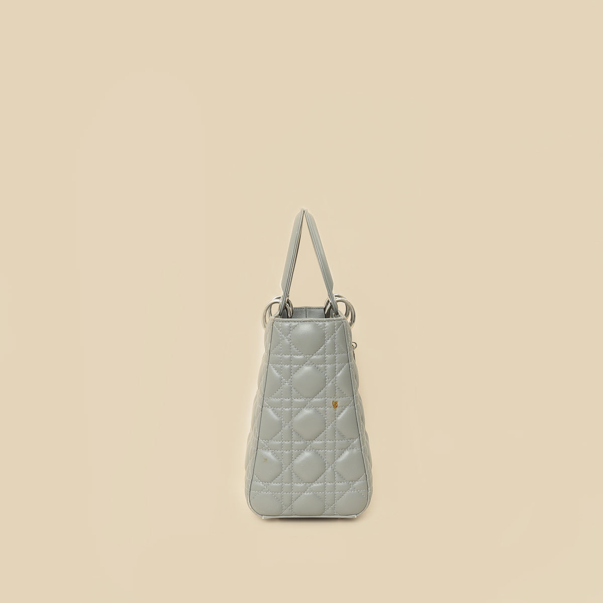 Christian Dior Gray Lady Dior Medium Bag