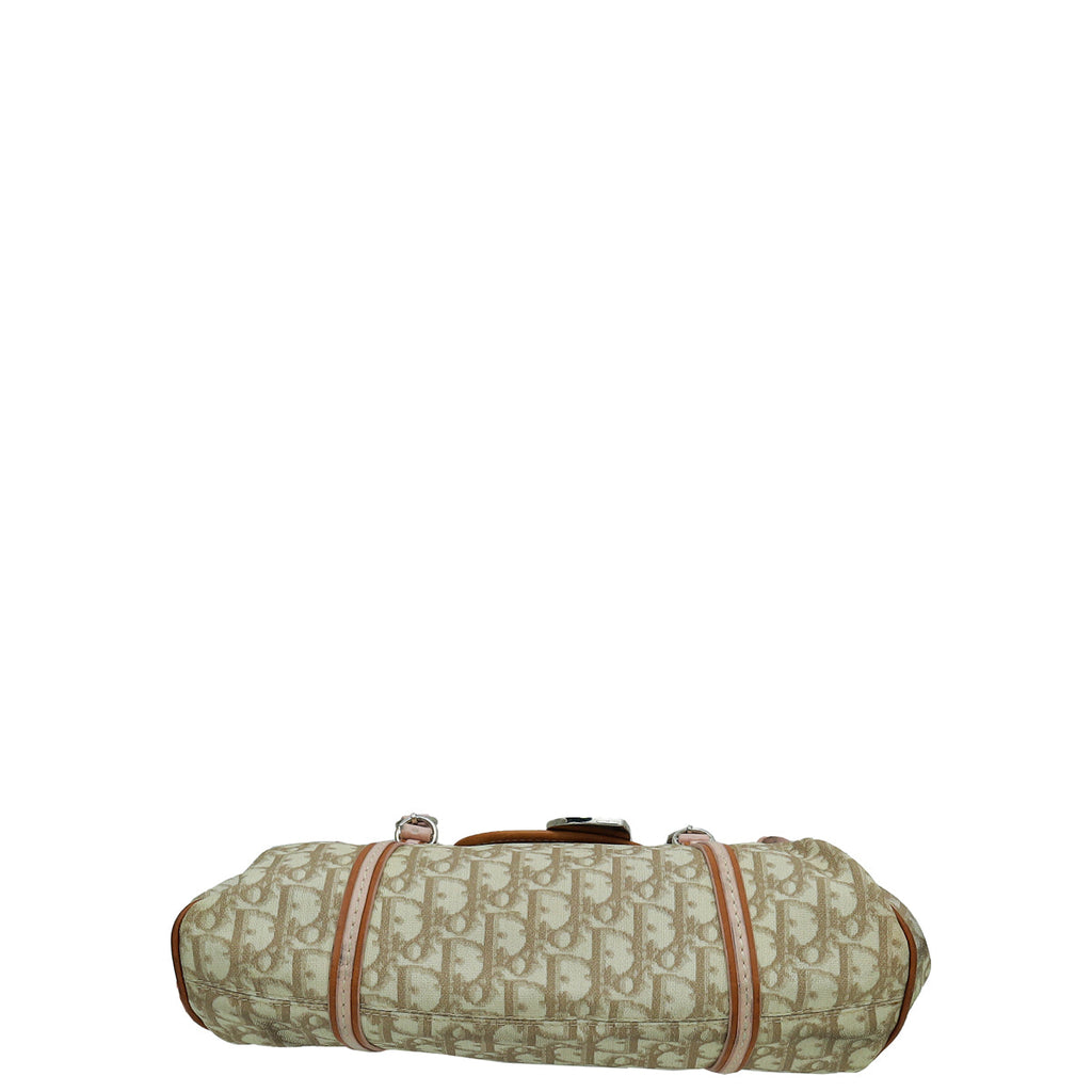 Christian Dior Tricolor Romantique Trotter Bag
