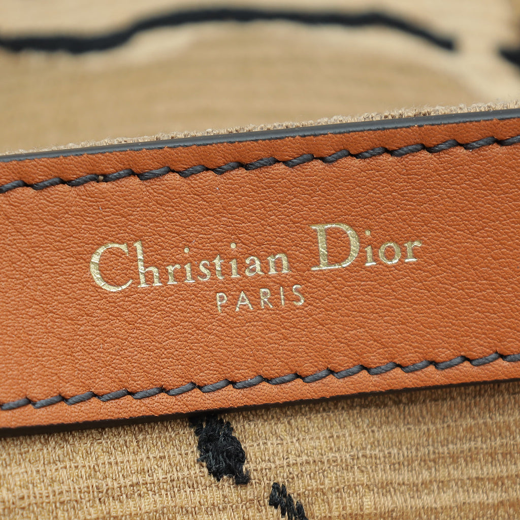 Christian Dior Brown Multicolor Sauvage Embroidered Tote Bag