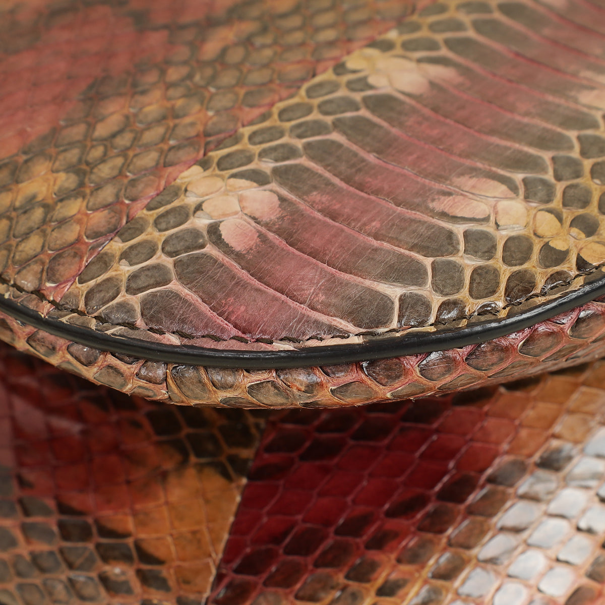 Christian Dior Multicolor Saddle Python Medium Bag