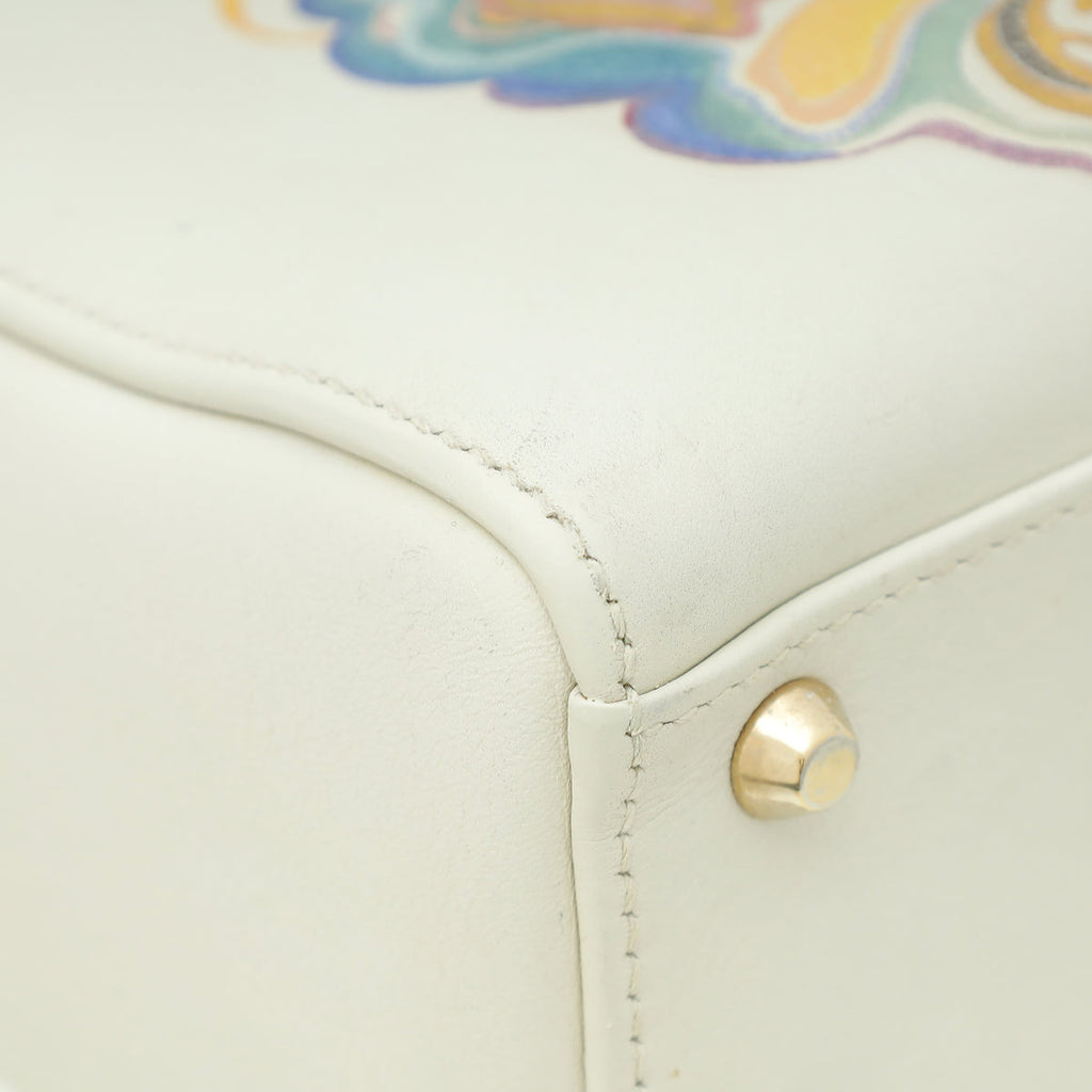 Christian Dior  Off White Multicolor Ltd. Ed. Amour Print Chain Mini Lady Dior Bag