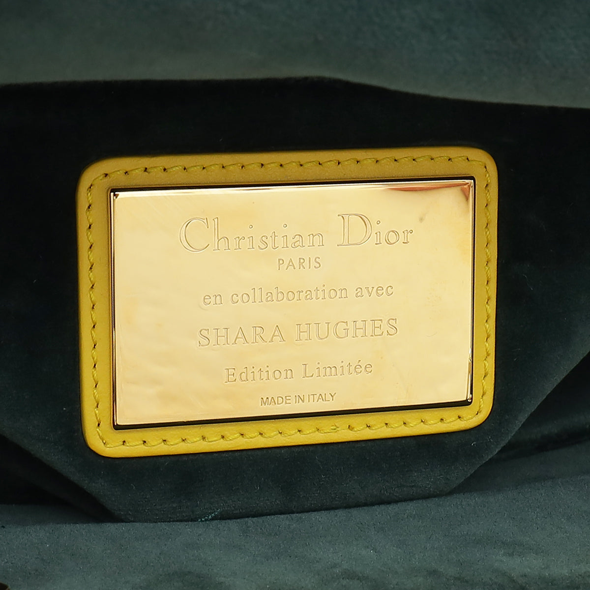 Christian Dior Yellow Multicolor L.E Shara Hughes Lady Dior Medium Bag