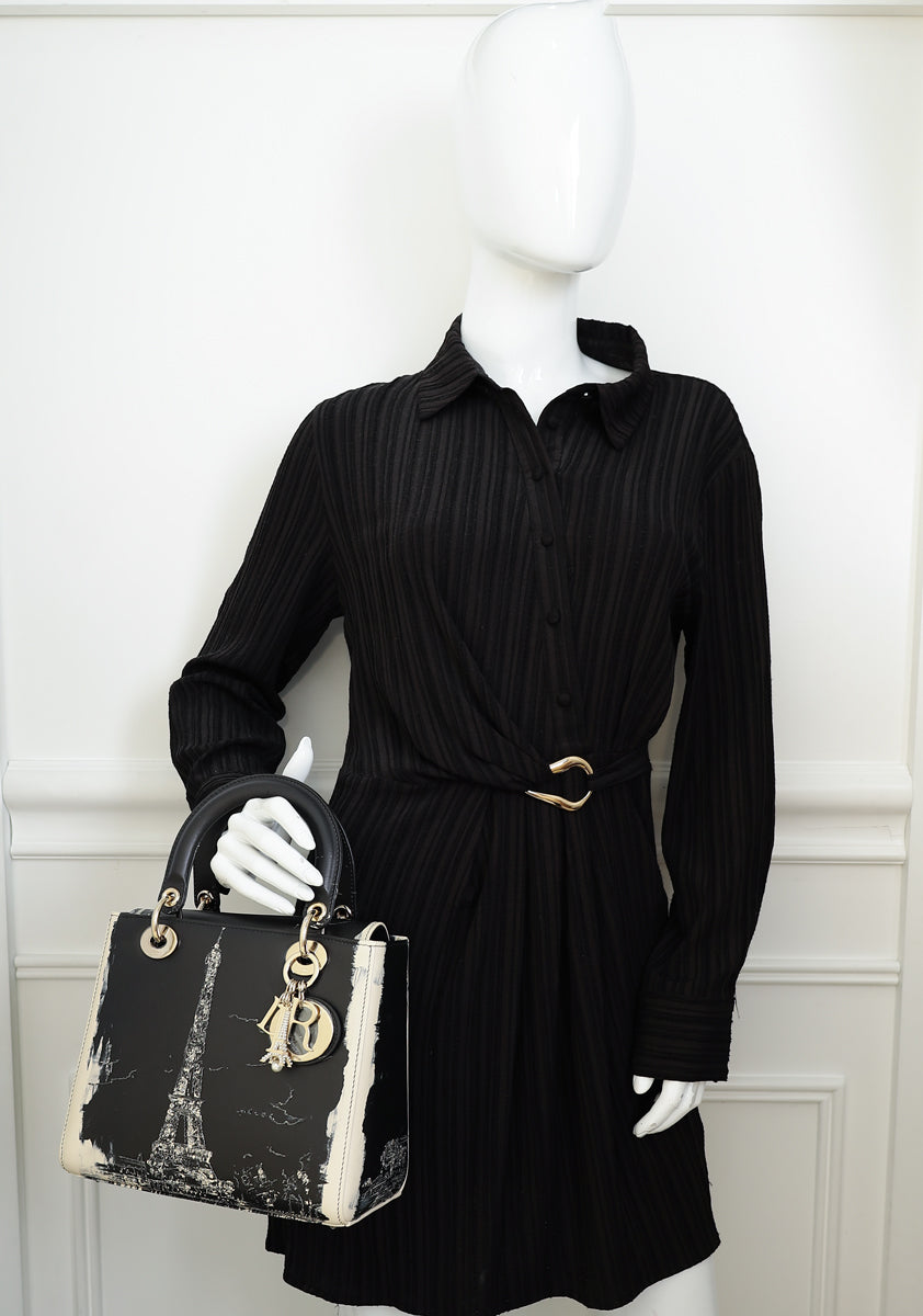 Christian Dior Bicolor Lady Dior Paris Print and Rhinestone Embroidery Medium Bag