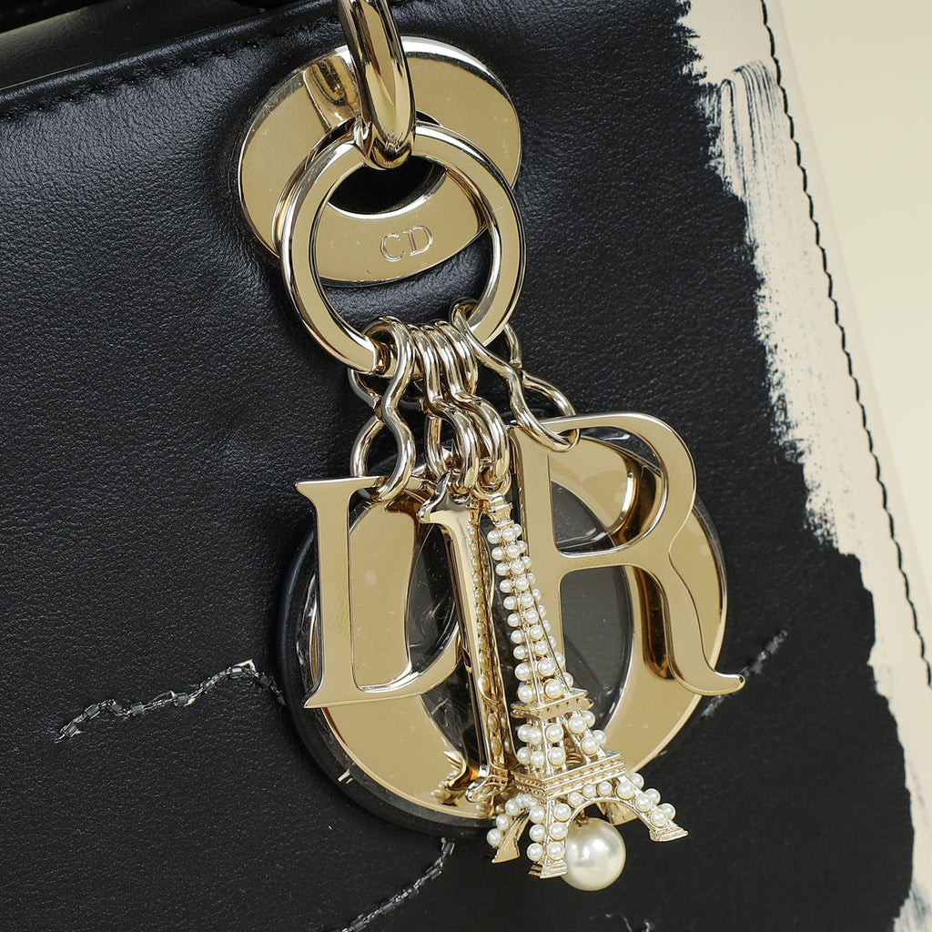 Christian Dior Bicolor Lady Dior Paris Print and Rhinestone Embroidery Medium Bag