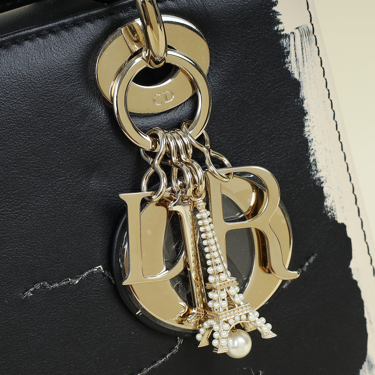 Christian Dior Bicolor Lady Dior Paris Print and Rhinestone Embroidery Medium Bag
