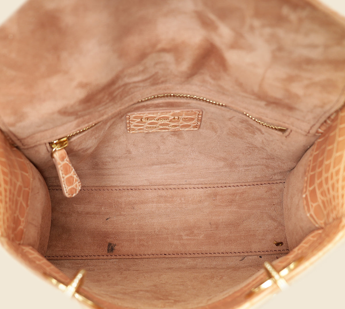 Christian Dior Blush Nude Alligator w/ Crystal Lady Dior Small Bag
