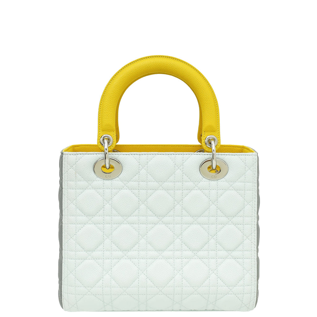Christian Dior Tricolor Lady Dior Medium Bag