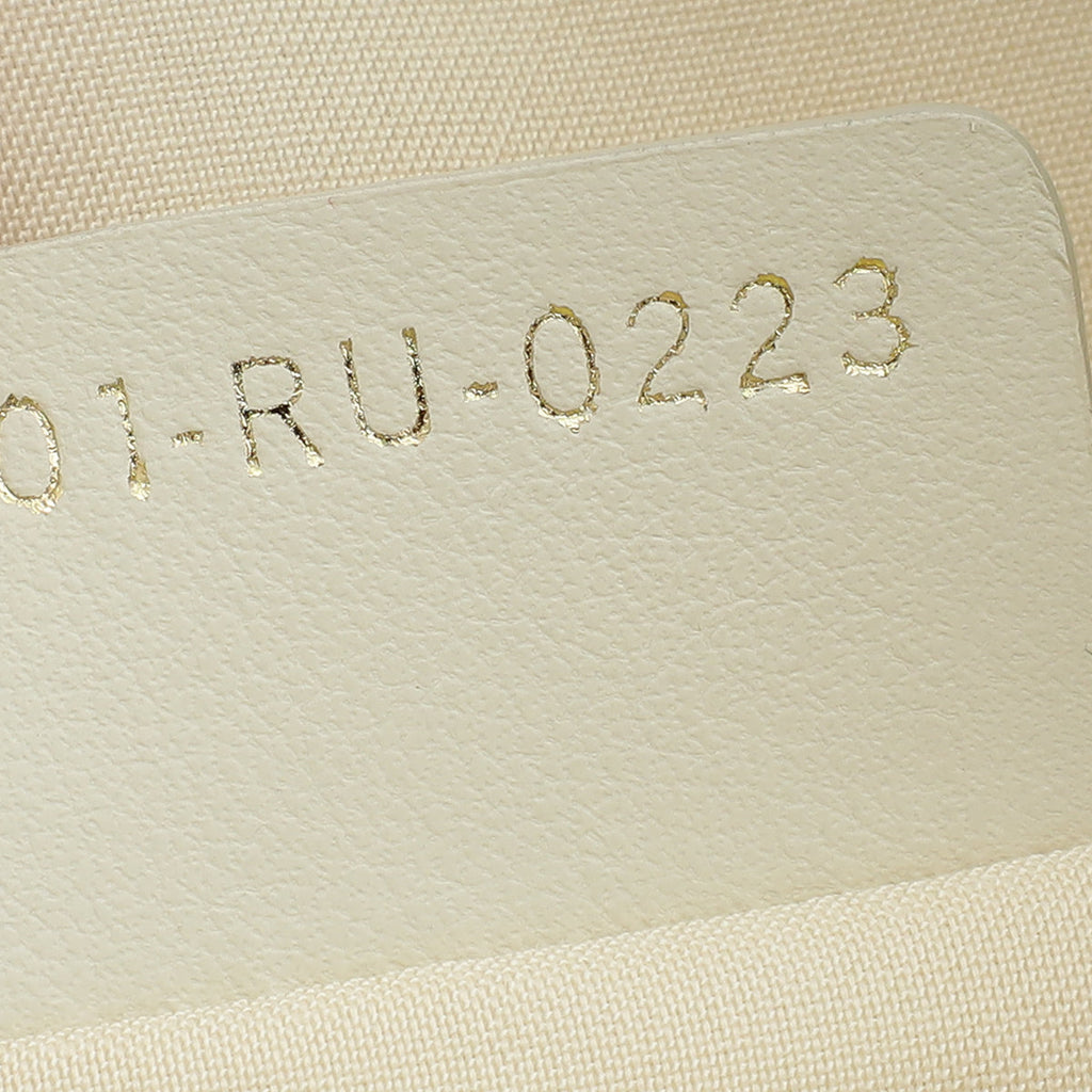 Christian Dior Dusty Ivory Cannage Dream Bucket Bag