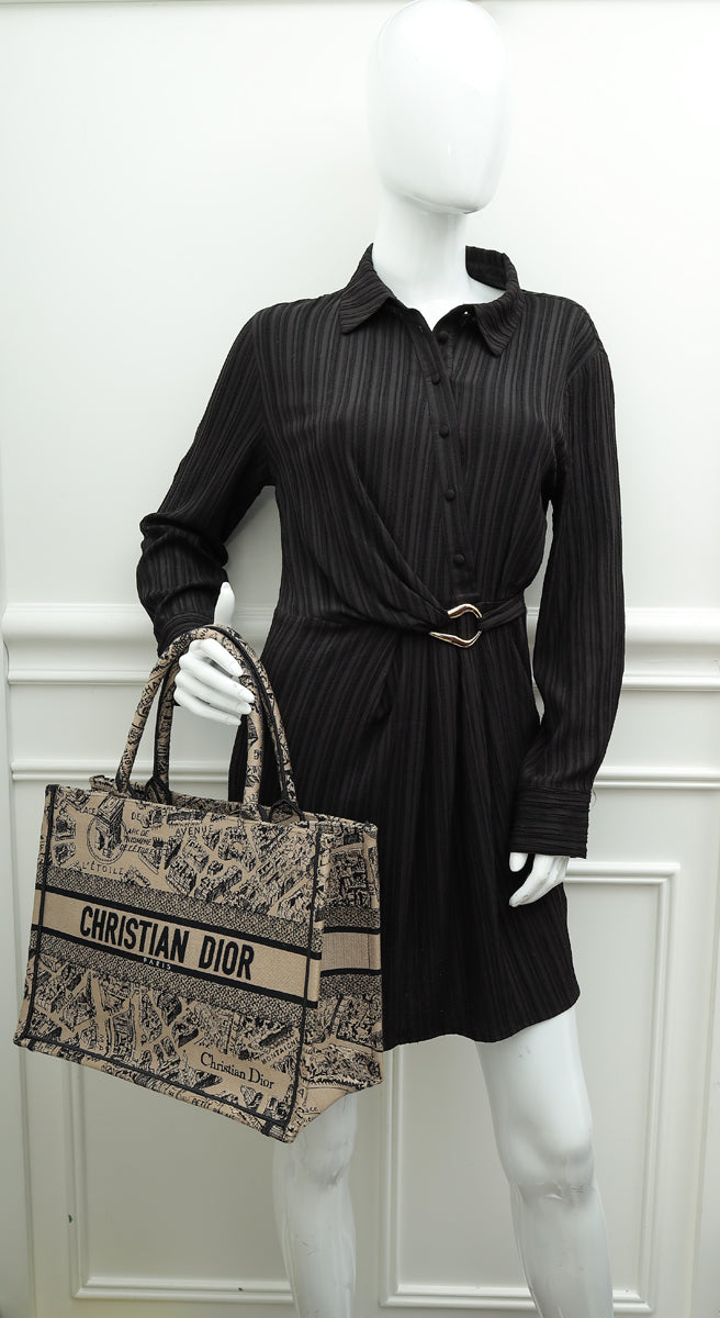 Christian Dior Bicolor Plan De Paris Embroidered Book Tote Medium Bag