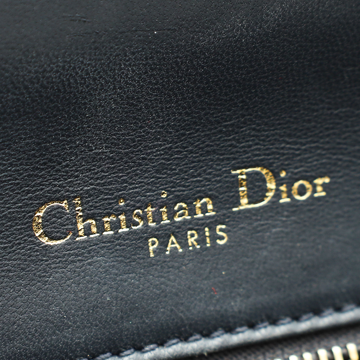 Christian Dior Champaign Diorama Microcannage Medium Bag