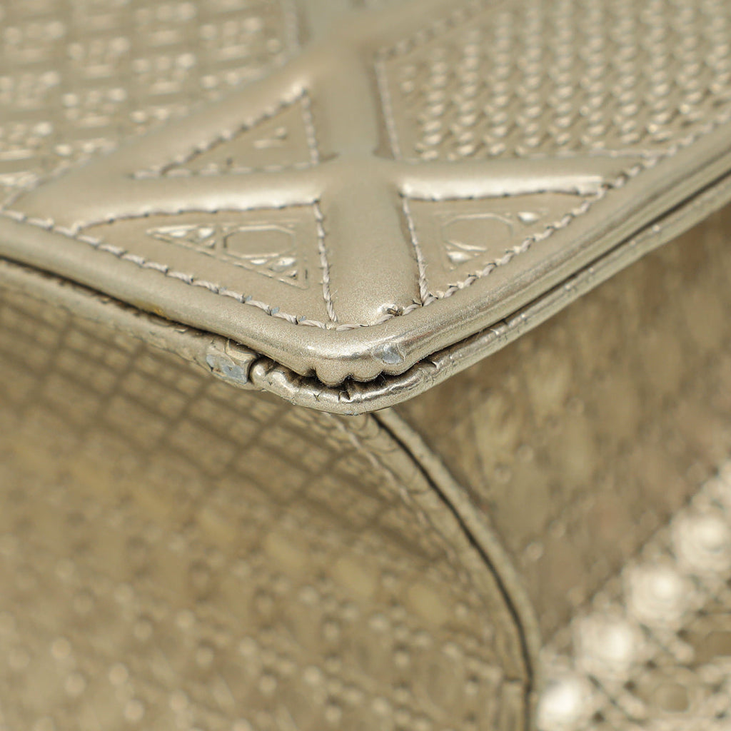 Christian Dior Champaign Diorama Microcannage Medium Bag