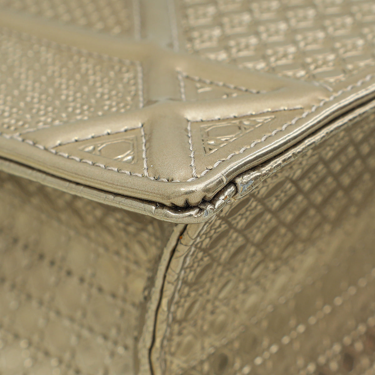 Christian Dior Champaign Diorama Microcannage Medium Bag