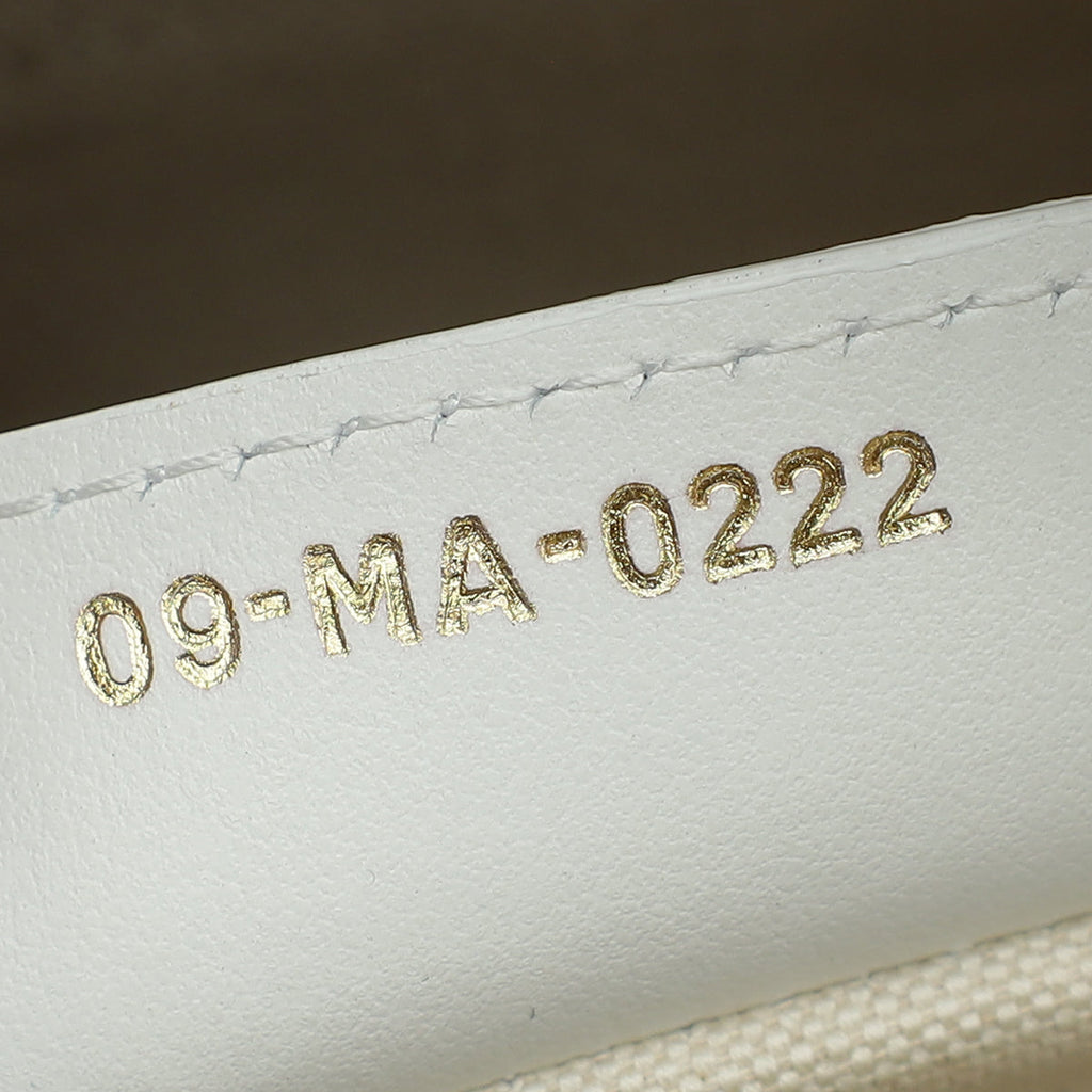 Christian Dior Bicolor Vibe Zip Medium Bowling Bag