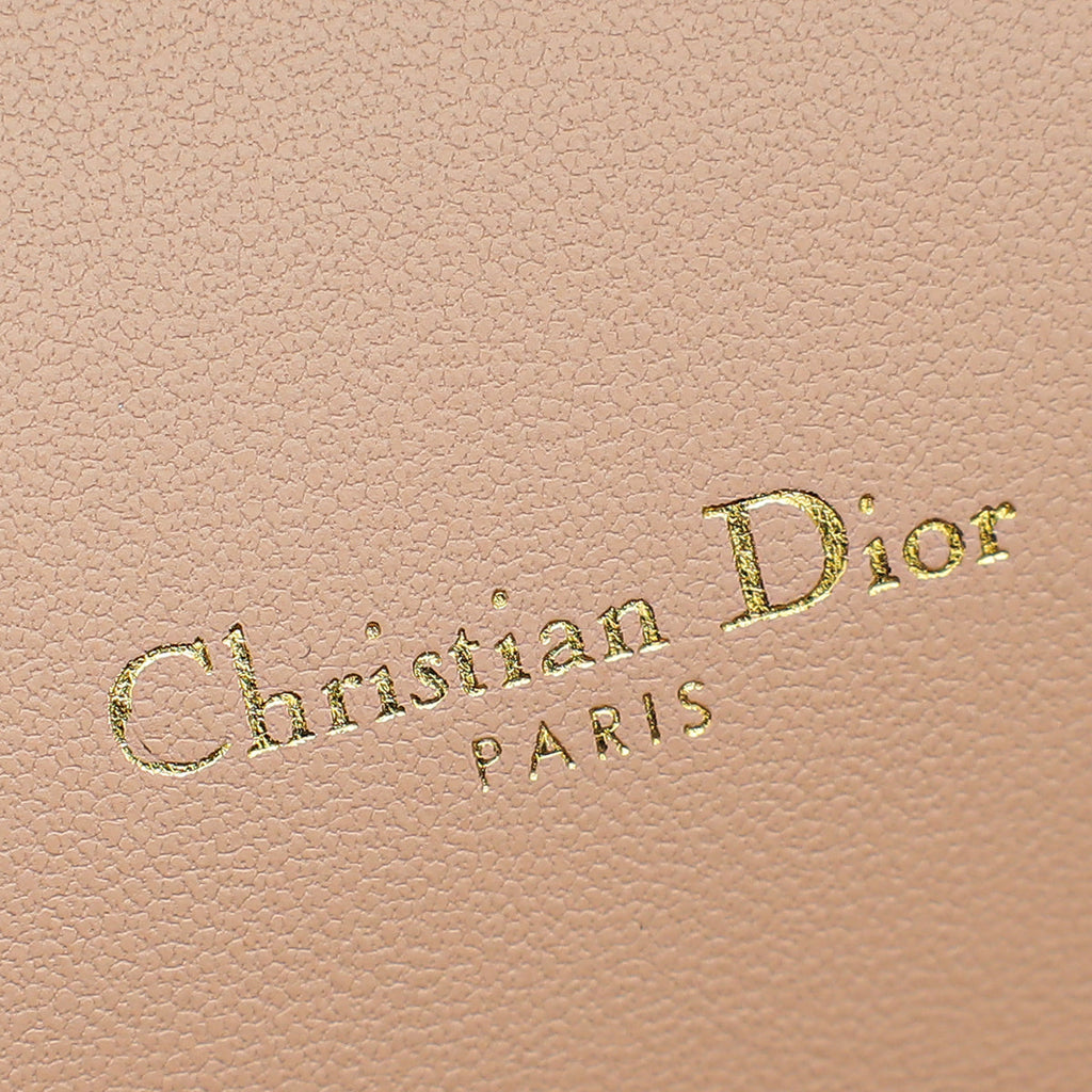 Christian Dior Rose des Vents Caro Pouch with Chain