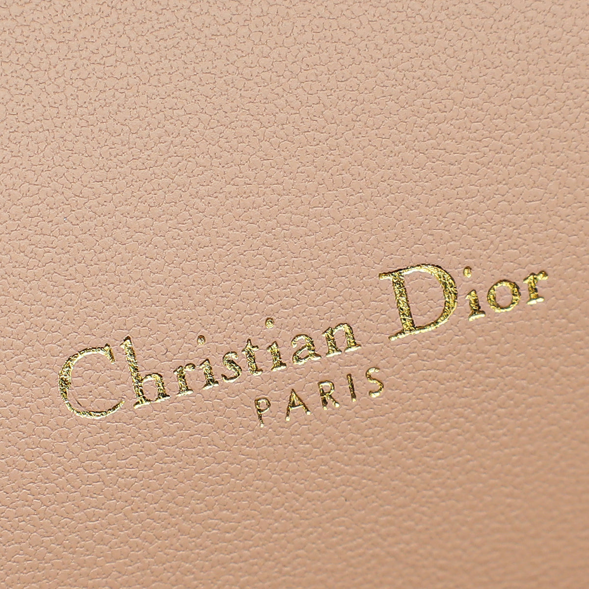 Christian Dior Rose des Vents Caro Pouch with Chain