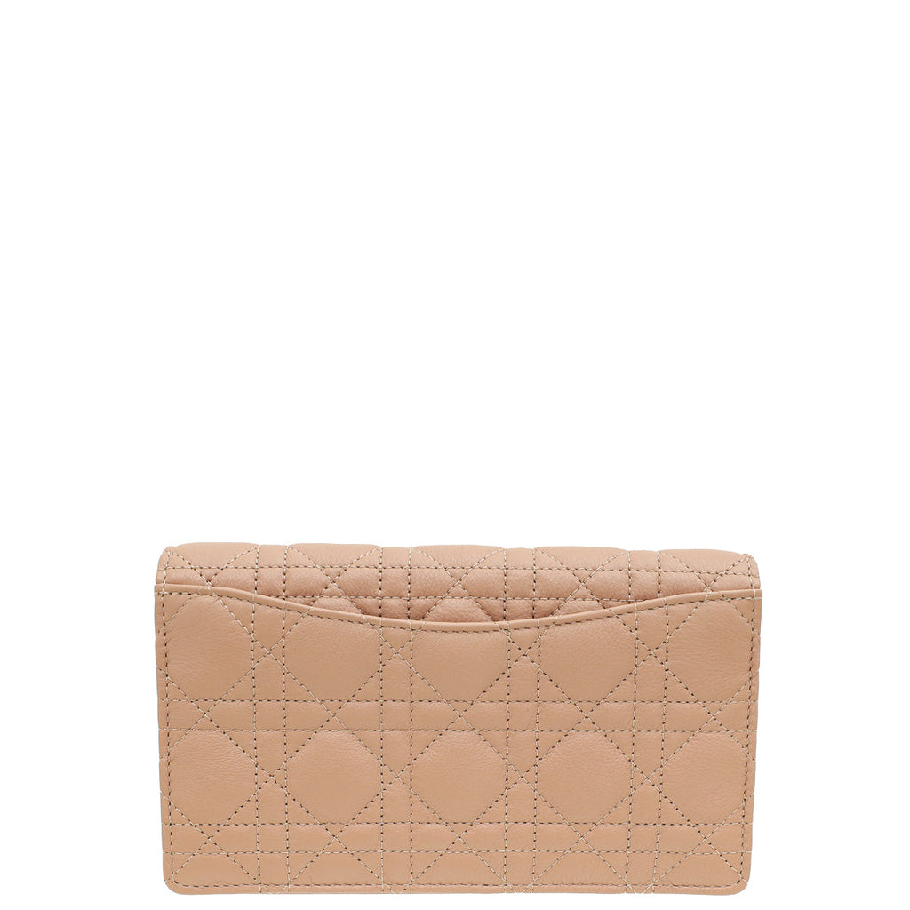 Christian Dior Rose des Vents Caro Pouch with Chain
