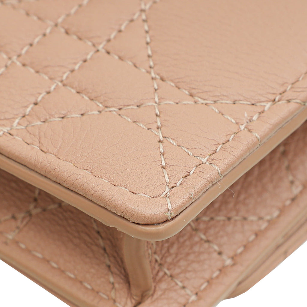 Christian Dior Rose des Vents Caro Pouch with Chain