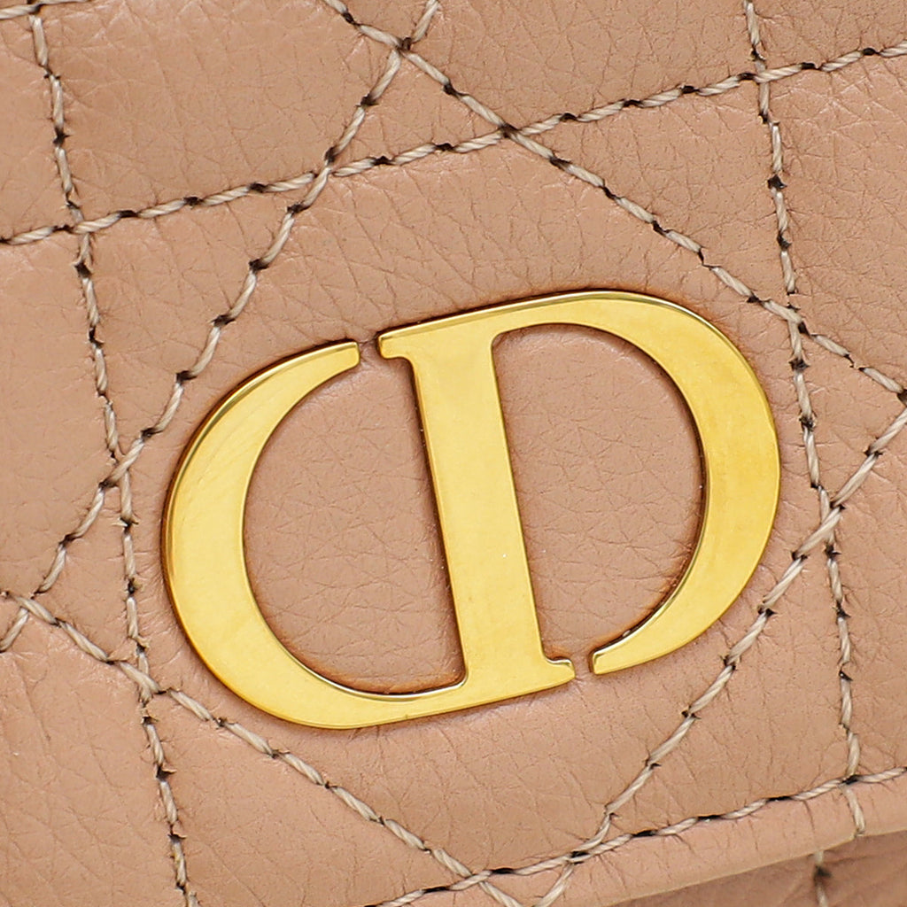 Christian Dior Rose des Vents Caro Pouch with Chain