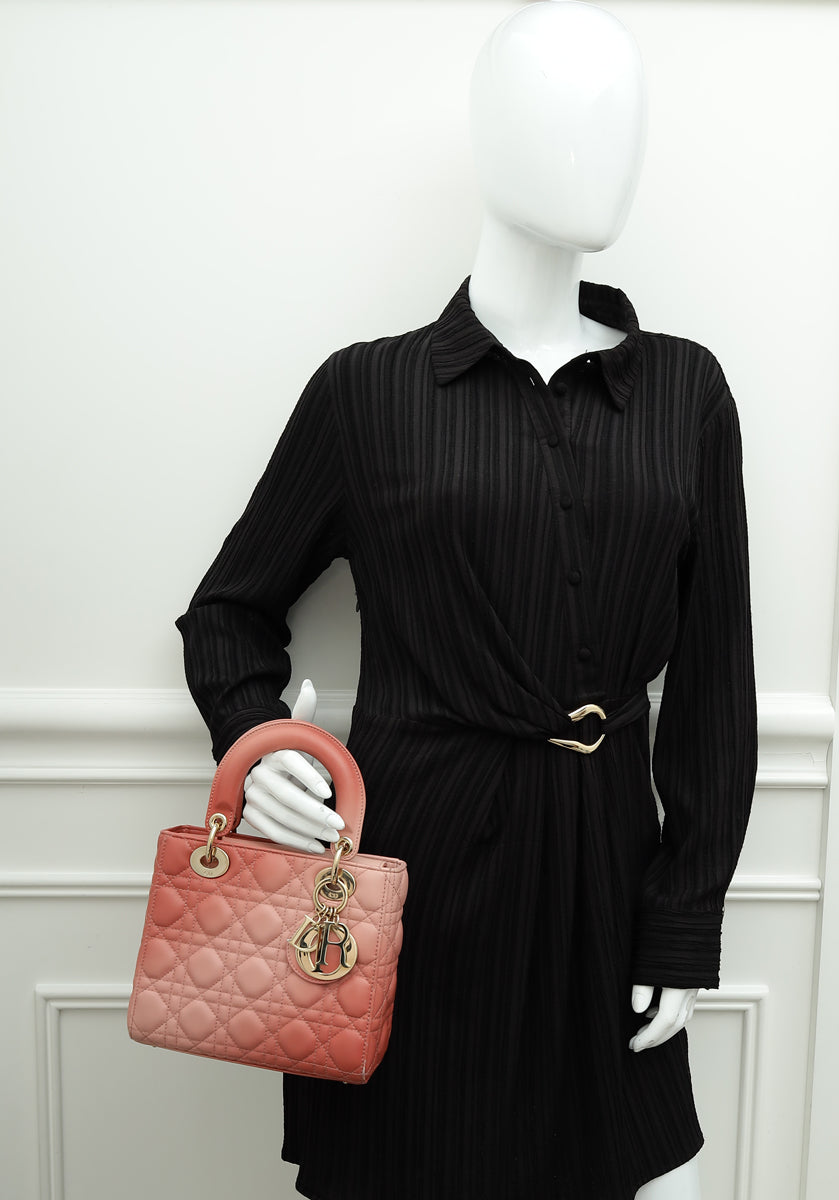 Christian Dior Flamingo Gradient Lady Dior My ABCDior Small Bag