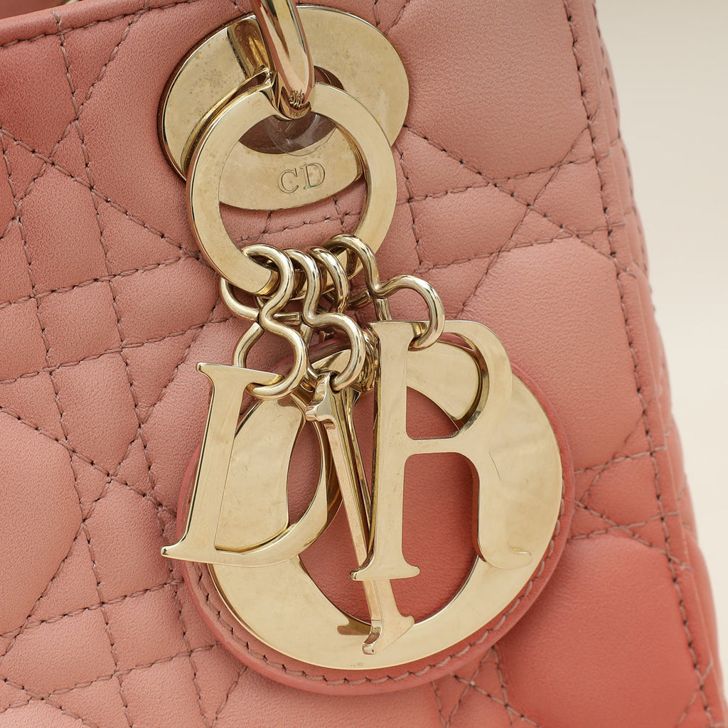 Christian Dior Flamingo Gradient Lady Dior My ABCDior Small Bag